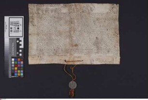 Wimpfen: Papst Clemens XIII. bekundet, daß er [für das Stift Wimpfen ... ?]