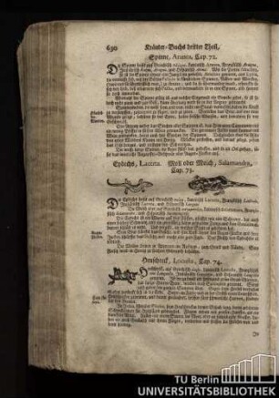 Cap. 74. Heuschreck, Locusta.
