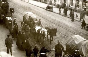 Rückkehr der Leibgrenadiere. Zug durch die Kaiserstraße