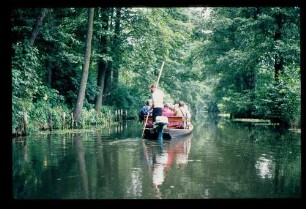 Spreewald 26.7.84.