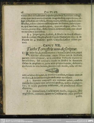 Caput VII. Turbo Terrestris non-descriptus