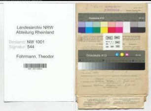 Entnazifizierung Theodor Fohrmann, geb. 18.10.1881 (Kaufmann)