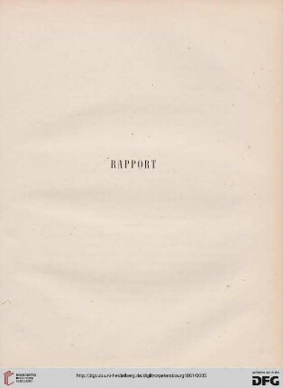 Rapport
