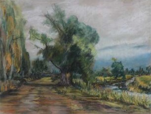Auenlandschaft