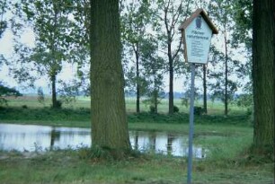 Flächennaturdenkmal Teichanlage