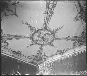 Potsdam, Neues Palais, Rote Damstkammer, R.: 164, Decke, Mittelfeld.