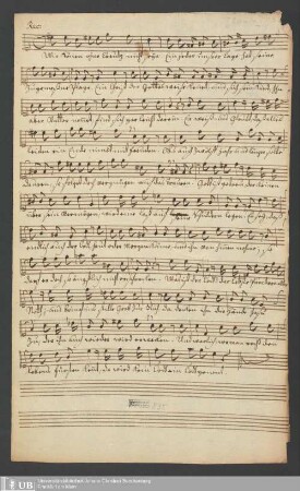 Ms. Ff. Mus. 835 - Am 24 p: Trinit: : C. B., violino 1, violino 2, violoncello et organo