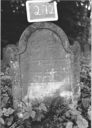 Grabstein 272 (Index: 99894629) Material: Sandstein Zustand: leicht verwittert und bewachsen Maße HxBxT: 84x55x8 cm Beschreibung: Stele mit eingezogenem Rundbogenabschluss: Grabstein 272