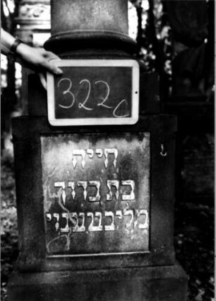 Grabstein 322 (Index: 100111974) Material: Sandstein, weiße Marmorplatte Zustand: Säule gebrochen und repariert, sonst gut Maße HxBxT: 225x46x37 cm Beschreibung: postamentierte abgebrochene Säule, rechteckige Schriftplatte Symbolik: Blüten- und Blätterkranz um Säule: Grabstein 322C