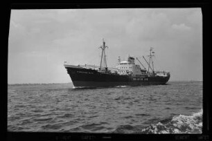 Magdalena Reith (1959), Orion, Hamburg