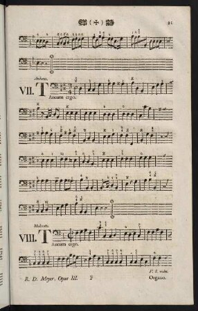 21-22, Tantum ergo VIII.