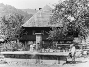 Schönau