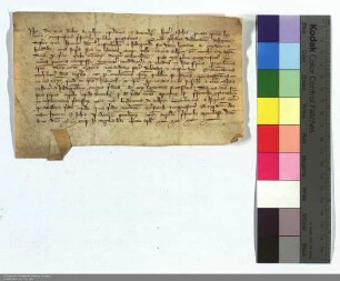 Ditmar von Selheim Bürger zu Amöneburg verkauft dem Heinrich Stussenbecher drei Joch Landes in der Terminei von Groß-Seelheim.