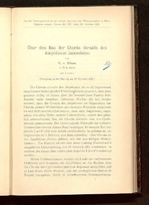 Über den Bau der Chorda dorsalis des Amphioxus lanceolatus : (vorgelegt in der Sitzung am 17. October 1895)
