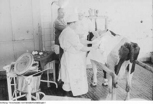 Gesundheitswesen, 1961-1965