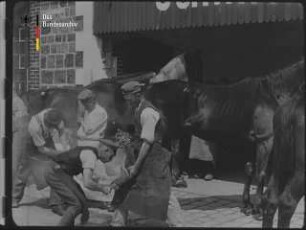 Pferdelazarett in Doncherry (1917)