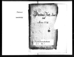 Dresdner Hoftagebücher (Serie A), 1738