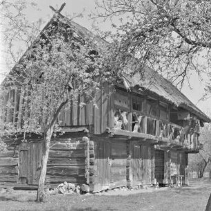 Strohgedecktes Blockhaus des Gehöftes Löwa in Burg-Kauper. : Ze słomu skryte kładźity twar Löwec statoka w Kupaŕskich Bórkowach.