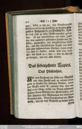 Das siebenzehente Kapitel. Das Pfeifenthier.