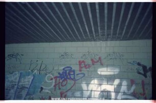 DeveL