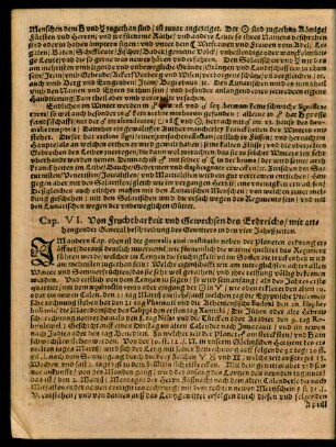 Cap. VI. Von Fruchtbarkeit und Gewechsen des Erdreichs/ mit anhangender General beschreibung des Gewitters in den vier Jahrßeiten.