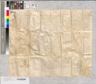 Notariatsinstrument betreffend das Testament der Witwe Anna Schlipstein.