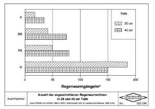 Anzahl der angeschnittenen Regenwurmröhren in 20 und 45 cm Tiefe (nach FRIEBE und HENKE, 1992)