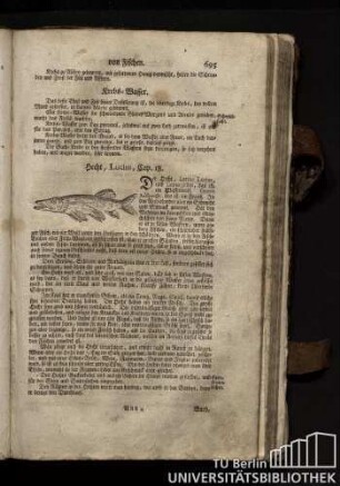 Cap. 18. Hecht, Lucius.