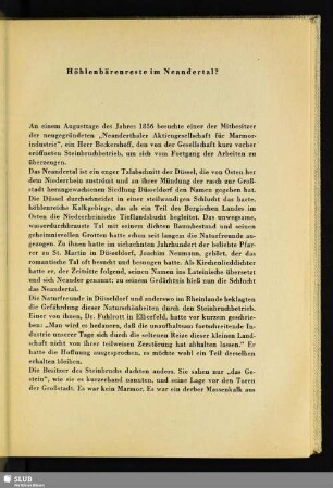 Höhlenbärenreste im Neandertal?