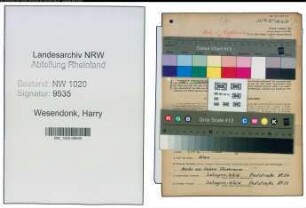 Entnazifizierung Harry Wesendonk , geb. 12.08.1906 (Schlosser)