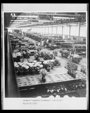 Lagerhalle für Blumen