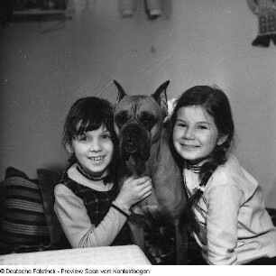 Kinderaufnahmen III: Baby und zwei Mädchen mit Hund