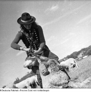 Richter auf Elbwiese