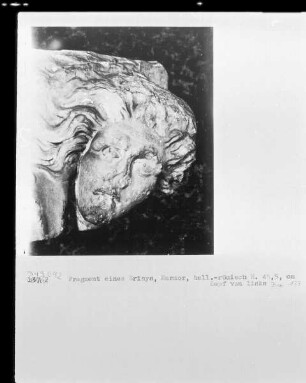 Fragment einer Erinnye