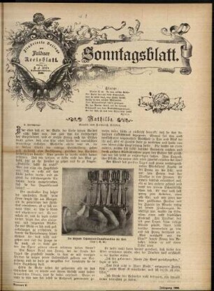 Ausgabe vom Sonntag, den 11. Februar 1906.
