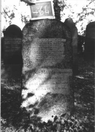 Grabstein 464 (Index: 100111687) Material: Granit Zustand: gut Maße HxBxT: 118x54x20 cm Beschreibung: Stele mit unscharfen Konturen, Segmentbogenabschluß: Grabstein 464