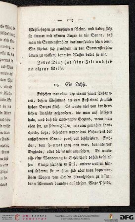 14. Ein Ochse