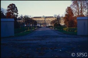 Potsdam, Park Sanssouci, Bullenwiese, Kastanien bei den Stichgräben.