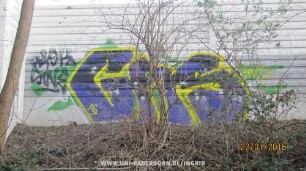 GnS