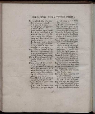 Spiegazione Della Tavola Prima.