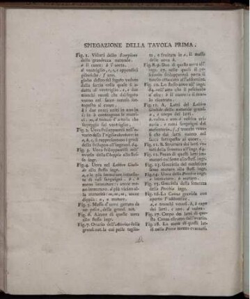 Spiegazione Della Tavola Prima.