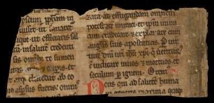 Exorcismus salis et aquae.
