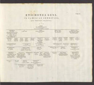 Etichonea Gens, In Familias Subdivisa, Sub Periodo Francica