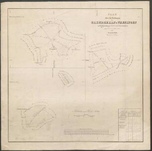 Plan über die Waldungen des Grundherrn von Venningen auf den Gemarkungen Neidenstein und Zuzenhausen