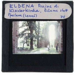 Eldena (Greifswald), Kloster : Ruine Klosterkirche