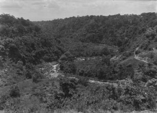 Flusslandschaft : Wald um den Flusslauf