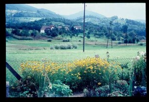 Obersasbach 23.8.66.