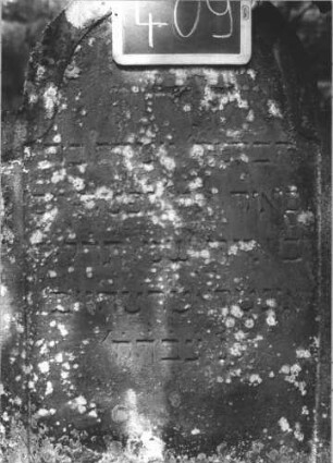 Grabstein 409 (Index: 99895863) Material: Sandstein Zustand: bewachsen Maße HxBxT: 124x66x8 cm Beschreibung: Stele mit eingezogenem Rundbogenabschluss: Grabstein 409 (2)