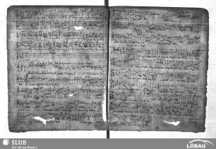 Zeutschner, Tobias: Benedicta sit Sancta Trinitas