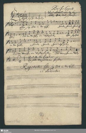 Basso Capell[a].